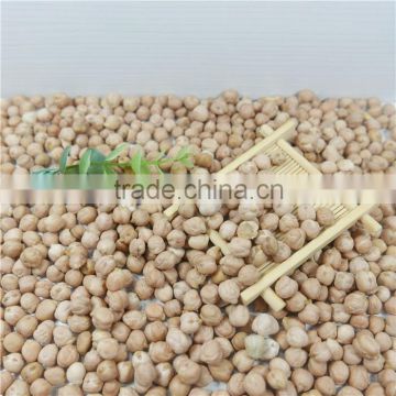best quality chickpea/chick pea market price HPS