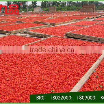 Dried Goji Berry