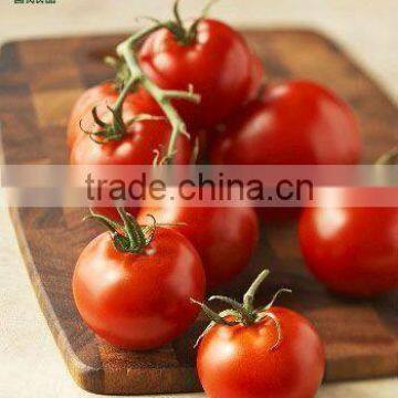 Dried vegetable- tomatoes in China
