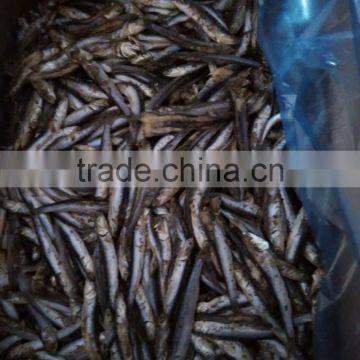 Good Quality Frozen Block Anchovy Fish