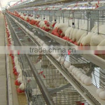 Taiyu easy installing cage farming system
