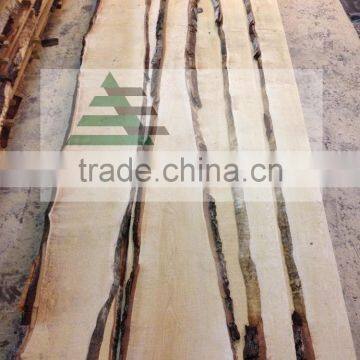 Sawn white birch timber unedged