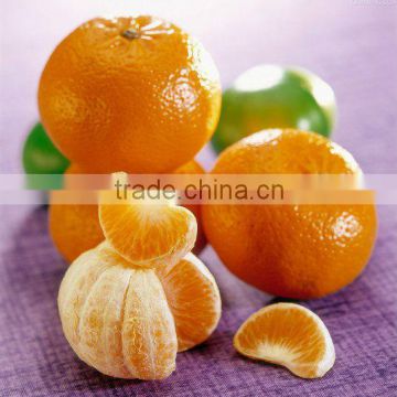Big Navel Orange With Different Size