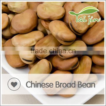 Bulk 2016 new crop dried broad bean