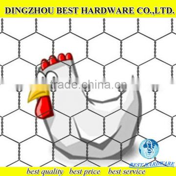 pvc coated hexagonal chicken wire mesh factory