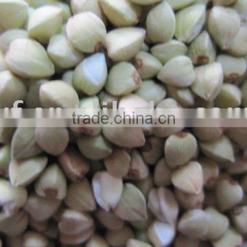 raw Buckwheat kernels/hulls