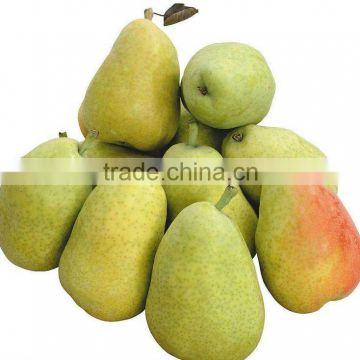 2012 fresh pear season coming now