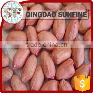 Raw peanut kernel price
