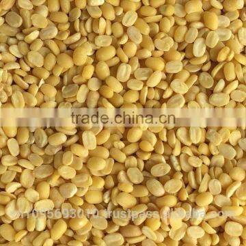 Hot split green mung bean from Vietnam with best price ever