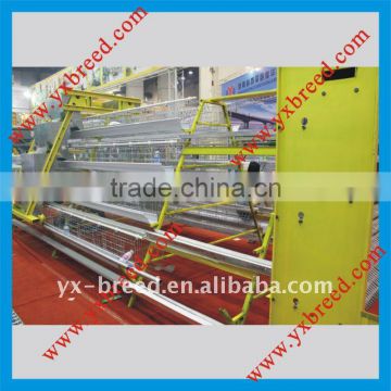 A type factory automatic chicken feeding cage for poultry farm