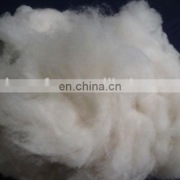 Inner Mongolian dehaired and carded natural white cashmere fiber 15.5mic 36-38mm