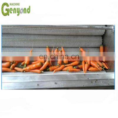 carrot washing and peeling machine