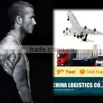 shenzhen/guangzhou /hongkong lcl shipping to brazil---Sangni