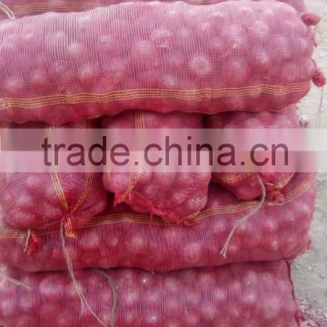 Jumbo size Phulkara Onion from Pakistan