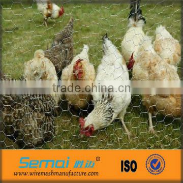 Hot dipped Galvanized hexagonal Wire Mesh poultry Netting for chicken hot sale