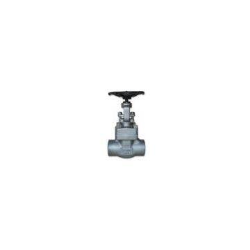 Stainless steel Forged gate valve RF/SW/RTJ