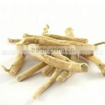 High Quality Cheap Withania Somnifera Root