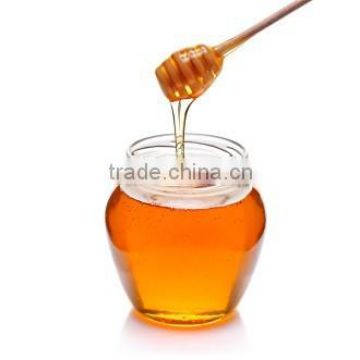 New Zealand Honey_Manuka Honey_25+ Honey_Active 25+ 500g