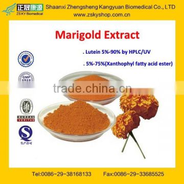 GMP Certified Manufacturer Supply Hot Sale Lutein and Zeaxanthin