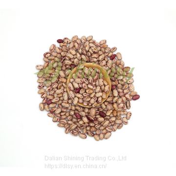 Price of american round light speckled kidney cranberry beans