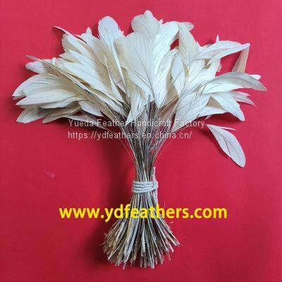 Stripped Rooster/Coque/Cock Tail Feather For Wholesale From China