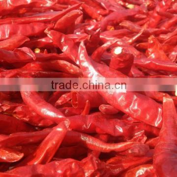 indian dry chilli for market price