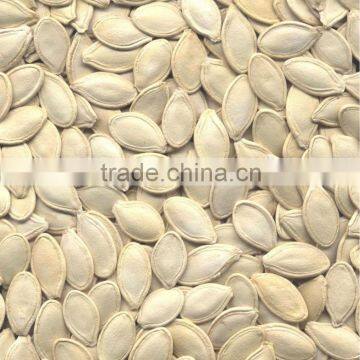 10mm up Yellow Color Shine Skin Pumpkin Seeds