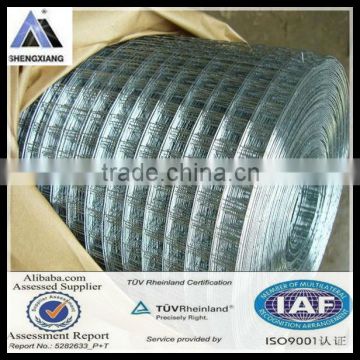 galvanized welded wire mesh (TUV certificate 20 year factory)