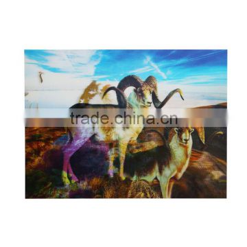 High quality and low price 3d lenticular pictures