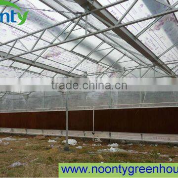 Greenhouse for Tomato