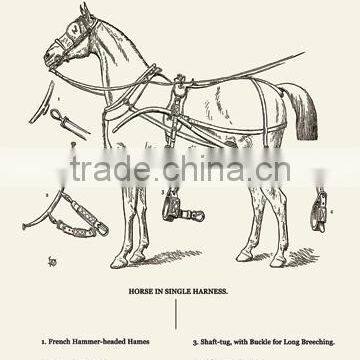 Single Harness Horse 24x36 Giclee