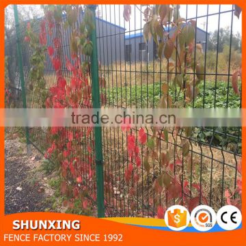 Anping fence producer Power Coated welded wire fence with folds 3v