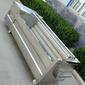 Cleaning Fruits And Veggies Commercial Conveyor