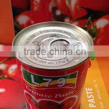 manufacturer 28%-30% natural canned china tomato paste 800g tin factory double concentrated