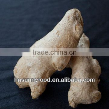 AD type 100% pure HACCP/OU/ISO ginger price in china