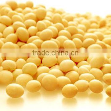 high quality soy fiber Non-GMO