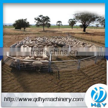 Sheep farm Utility Sheep Yard Panels trailer