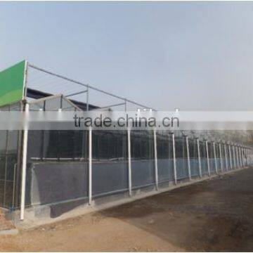 greenhouse roofing plastic, polycarbonate greenhouse plastic roofing cheap big sale