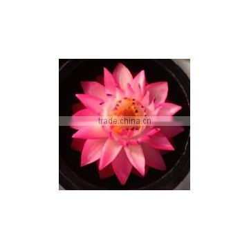 2 Inch Carved Soap Flower-CS019
