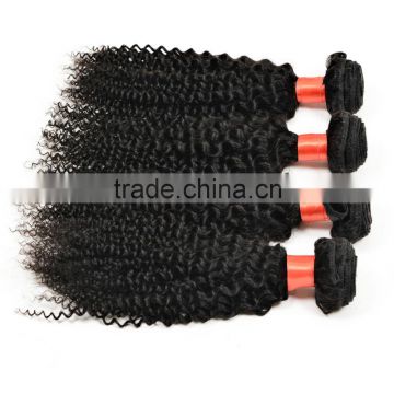 Alibaba express brazilian curly hair in south africa buy human hair weave kinky curly hair