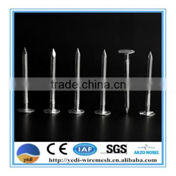 common nails/Electric Galvanized Roofing nail with Umbrella Head/china roofing nails