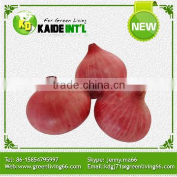 High Capability Chinese Fresh Onion
