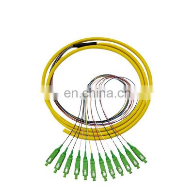 Supply 12 core pigtail single mode fiber optic cable with 12 pcs colored SC/APC connectors 12 core pigtails