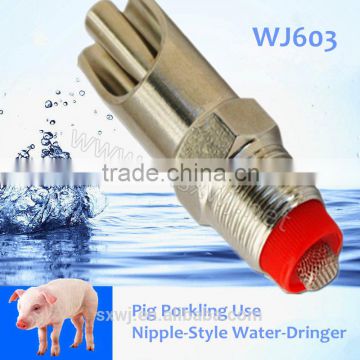 Special drinking water device for piglet