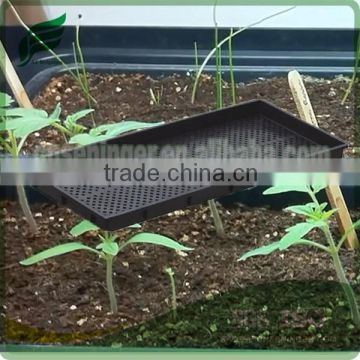 Plastic Seedling Nursery Tray