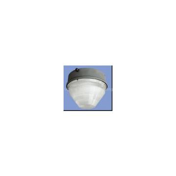 ceiling light with induction lamp(NLW-ZX-50008)