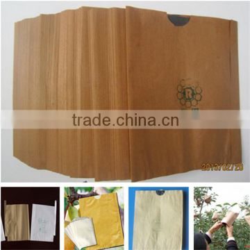 different size with cheap price Fruit growing paper bag                        
                                                Quality Choice