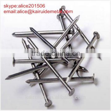Polished common wire nail/competitive price iron nail factory