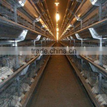 H Frame Broiler Raising Equipment