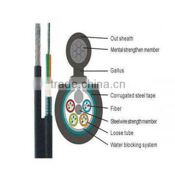 Sell Self-supporting Optical Fiber Cable: GYTC8S with High Quality and Competitive Price